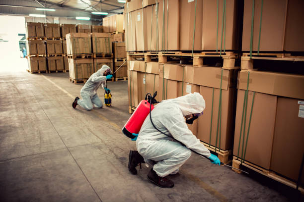 Reliable Ardsley, NY Pest Control Solutions