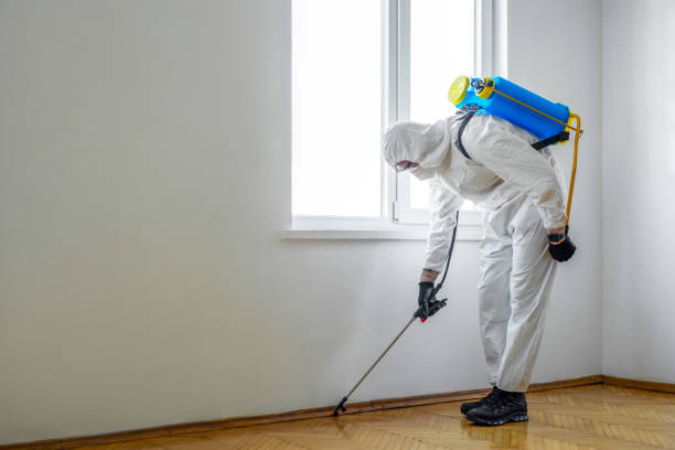 Best Pest Inspection Near Me  in Ardsley, NY