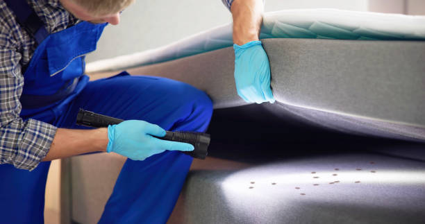 Best Flea Control Services  in Ardsley, NY