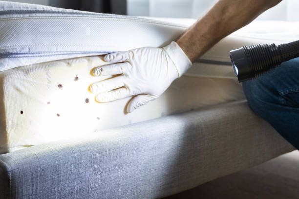 Best Pest Removal Services  in Ardsley, NY