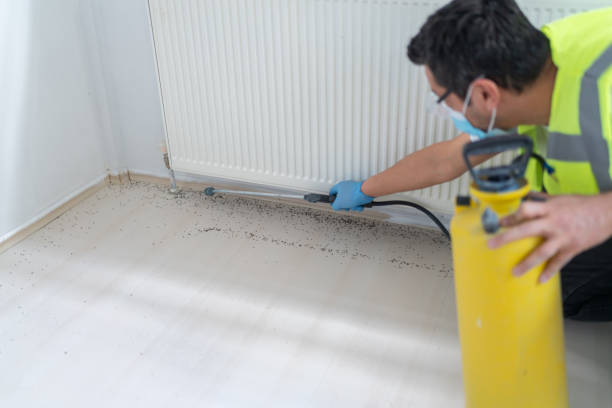 Best Rat Extermination Near Me  in Ardsley, NY