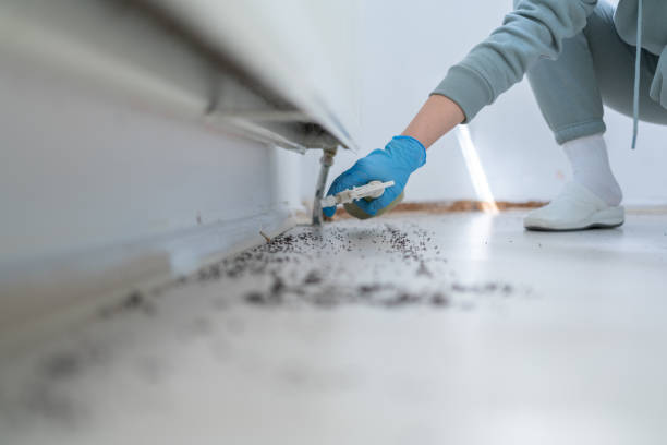 Best Best Pest Control Companies  in Ardsley, NY