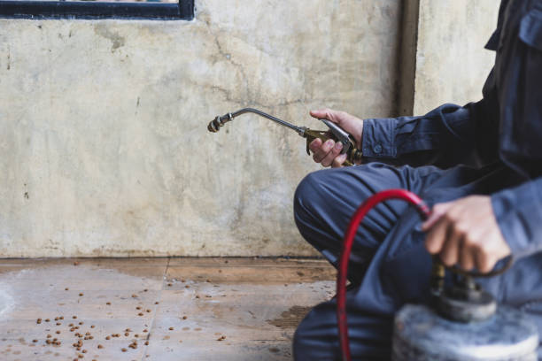 Best Affordable Pest Control Services  in Ardsley, NY